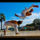 Capoeira_by_karof-005_1375914_3749_t