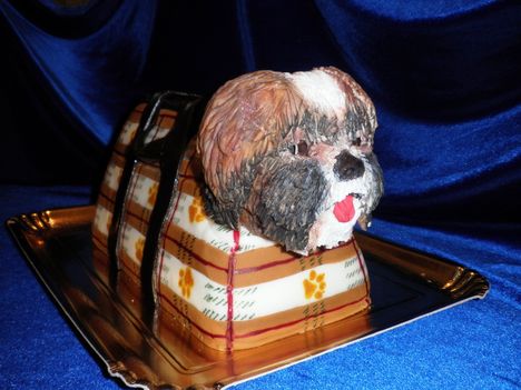 Shih-tzu kutya torta táskával