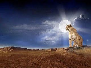 Animal wallpapers Photoshop Art mrm