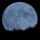 Blue_moon_1377349_1485_t