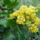 Tavaszi_10_1377776_3541_t