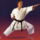 Karate-003_137830_58224_t