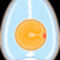 220px-Anatomy_of_an_egg_unlabeled_svg