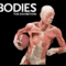 Bodies1