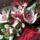 Orchideacsokor_1388438_1907_t