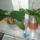 Orchideaim_4-001_1388328_4670_t