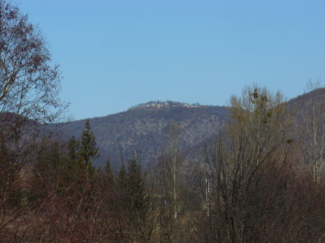 P1110747