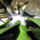 Orchidea_gyokerezteto_hormonporral_beszorva_3_1389357_5084_t