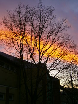 Iskolánk felett még az ég is szép :-)