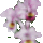 654622_1391691_3826_t