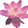 654623_1391690_2244_t