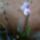 Nonapi_orhim-003_1391172_4445_t