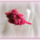 Hajraf_pink_rozsas_1393485_6657_t