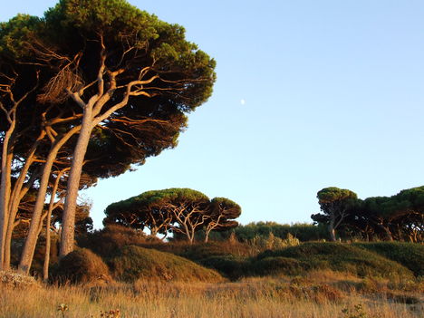 Baratti öböl.Toscana.