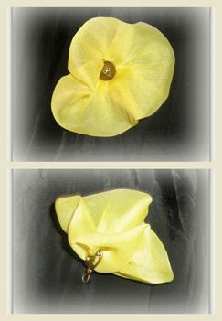 cserevirág sárga pipacs kollázs