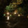 Mariann Andrassy képei - Aggteleki cseppkőbarlang
