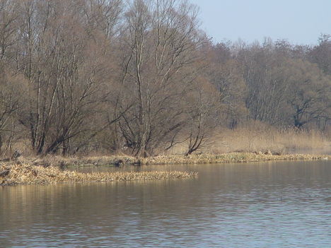 Idei első kirándulás a Dunánál 4