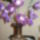 Orchidea-001_1398019_1618_t