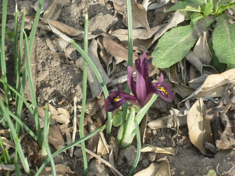 P1080790
