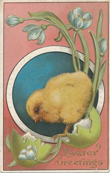 1910-Easter_Chick_Hatching-Postcard1