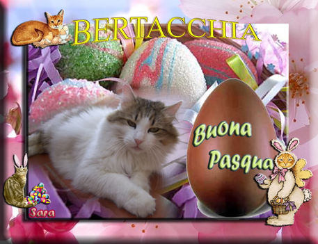berta_pasqua