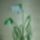 Dscf0268_1413324_5441_t