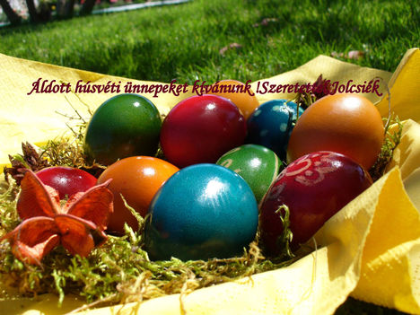 Áldott húsvéti ünnepeket kívánunk Mindenkinek!
