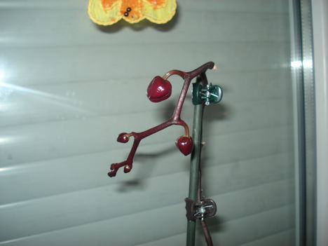 DSC00329