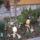 Husveti_elozetes_es_sok_mas_054_1414222_3383_t