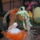 Husveti_elozetes_es_sok_mas_068_1414214_3666_t