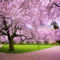 Tavasz_Japán_cseresznyefa virágzás_1009324
