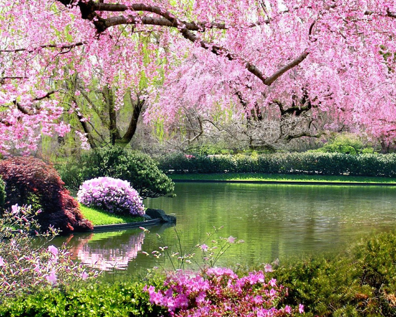 természet szeretete: Tavasz színei_74064 kép
