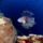 Tenger_melyen498540_1414012_3607_t