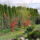 Aprilisi_viragok_10-001_1415959_2457_t