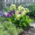 Aprilisi_viragok_3-001_1415951_3893_t