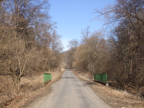 DSCF4980