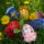 Kellemes_husveti_unnepeket_kivanok_sok_szeretettel_1415663_1305_t