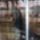 Kep000_1415591_9286_t