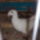 Kep001_1415587_4142_t