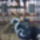 Kep004_1415596_8815_t