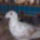 Kep005_1415574_3135_t