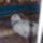Kep006_1415594_7498_t