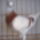 Kunfeherto_11_1415610_4202_t