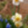 Most_nyilo_viragom-001_1415470_9049_t