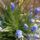 Most_nyilo_viragom_1415468_9126_t
