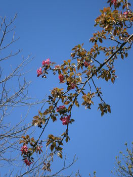 P4020485