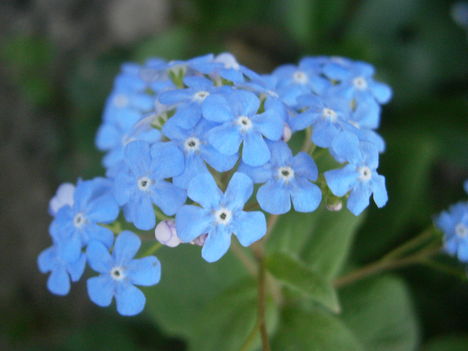 P4040809