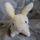 Anyukatol__1417479_6462_t