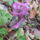 Dscf5058_1417950_7385_t