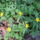 Dscf5059_1417941_4722_t